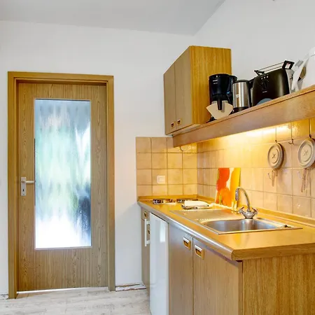 Kreuzbachhof - Ferienwohnung 8 Apartmán Haidmühle